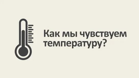 Как мы чувствуем температуру? [MinutePhysics]