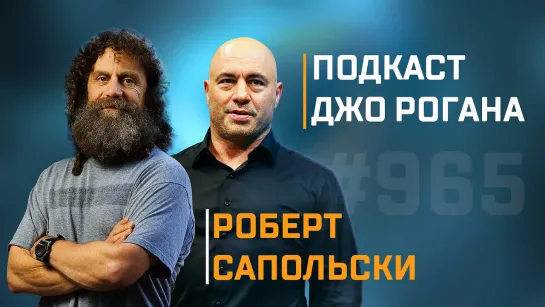 Подкаст Джо Роган Experience #965: Роберт Сапольски