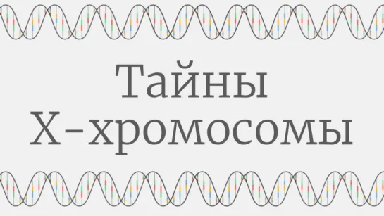 Тайны X-хромосомы [TED-Ed]