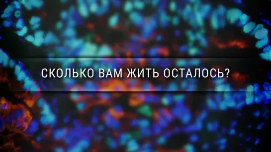 Сколько вам жить осталось? [Veritasium]