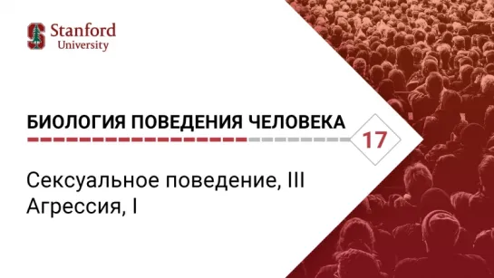 Биология поведения человека: Лекция #17. Сексуальное поведение, III; Агрессия, I [Роберт Сапольски, 2010. Стэнфорд]