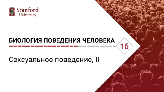 Биология поведения человека: Лекция #16. Сексуальное поведение, IІ [Роберт Сапольски. Стэнфорд]