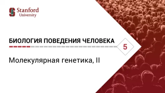 Биология поведения человека: Лекция #5. Молекулярная генетика, II [Роберт Сапольски, 2010. Стэнфорд]