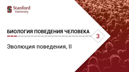 Биология поведения человека: Лекция #3. Эволюция поведения, II [Роберт Сапольски, 2010. Стэнфорд]