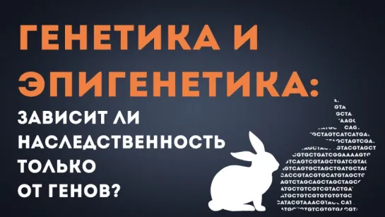 Генетика и эпигенетика: зависит ли наследственность только от генов? [It's Okay To Be Smart]