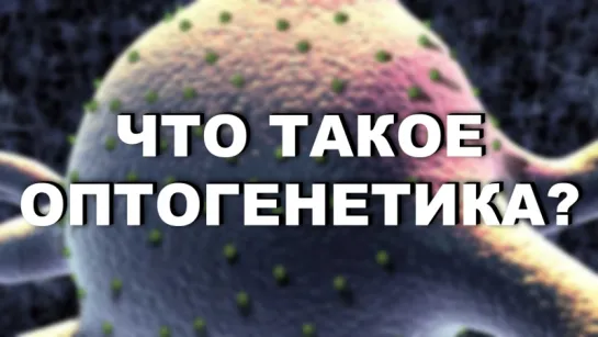 Что такое оптогенетика?