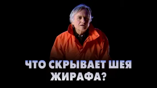 Доказательства эволюции: что скрывает шея жирафа? | Ричард Докинз