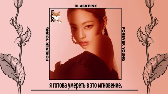 [FSG FOX] BLACKPINK – Forever Young |рус.саб|