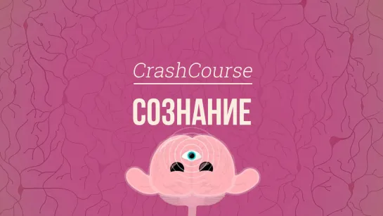 Сознание. Психология #8 [CrashCourse]