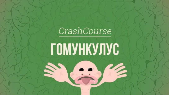 Гомункулус. Психология #6 [CrashCourse]