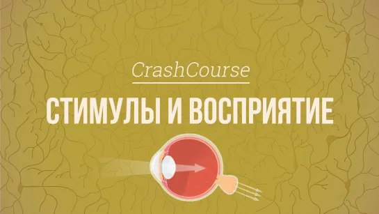 Стимулы и восприятие. Психология #5 [CrashCourse]