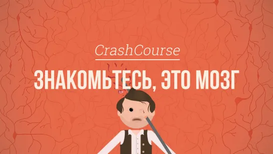 Знакомьтесь, это мозг. Психология #4 [CrashCourse]