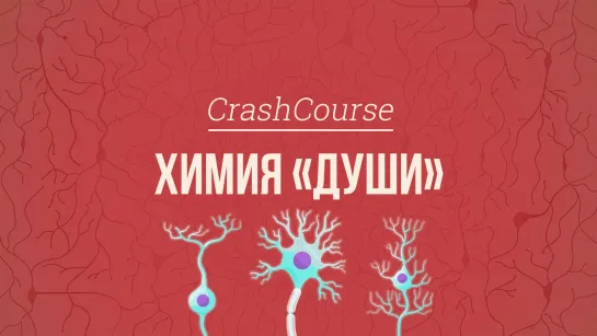 Химия «души». Психология #3 [CrashCourse]