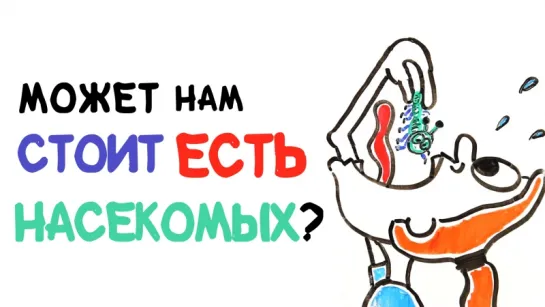 Может нам стоит есть насекомых? [AsapSCIENCE]