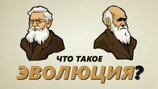 Что такое эволюция?