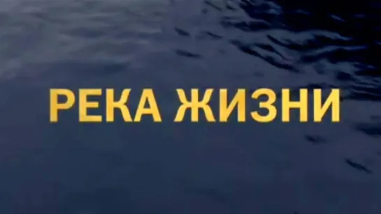 Документальные фильмы на телеканале Культура - Мертвая вода. Река жизни  @SMOTRIM_KULTURA