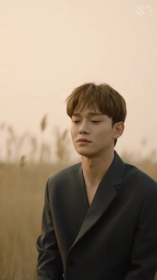 190406 CHEN - Beautiful goodbye Vertical Video