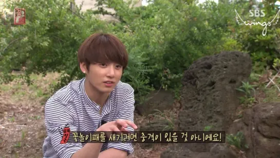 [RUS SUB] [РУС САБ] 160716 Jungkook @ Flower Crew - Цветочная команда Ep.2