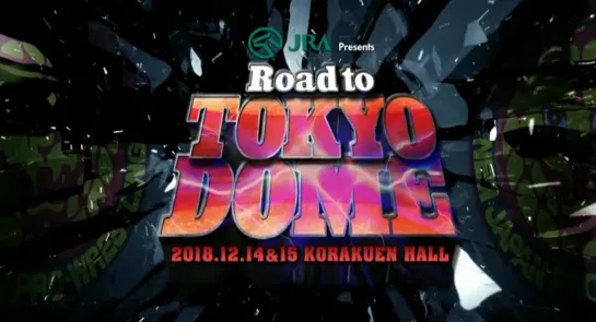 NJPW Road To Tokyo Dome 2019 (2018.12.15) - День 2