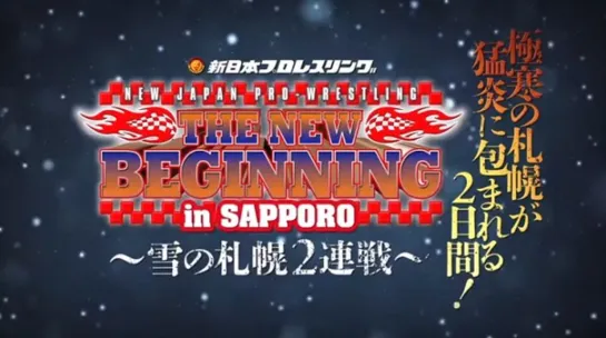 NJPW The New Beginning 2018 In Sapporo (2018.01.28) - День 2