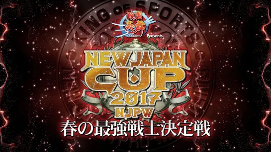 NJPW New Japan Cup 2017 (2017.03.20) - День 8