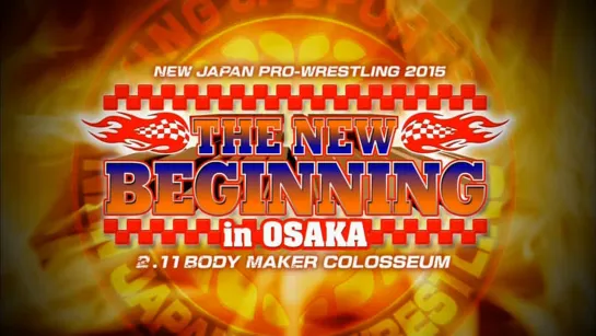 NJPW The New Beginning 2015 In Osaka (2015.02.11) - Часть 5