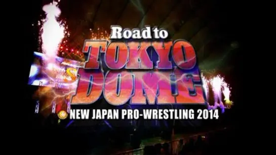 NJPW Road To Tokyo Dome 2014 (2014.12.19) - День 5