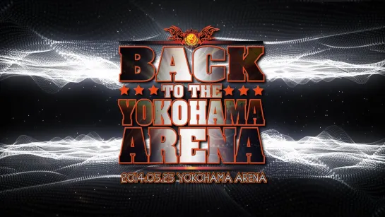 NJPW Back To The Yokohama Arena 2014 (2014.05.25) - Часть 2