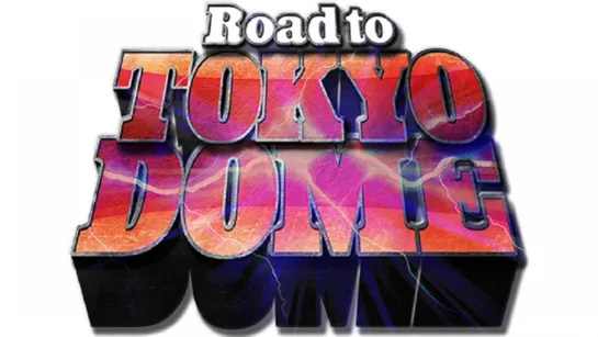 NJPW Road to Tokyo Dome 2013 (2013.12.23) - День 6