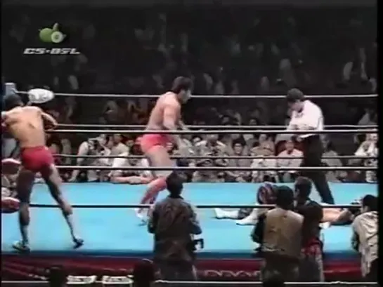 AJPW Summer Action Series II (1997.09.06) - День 15 (Часть 1)