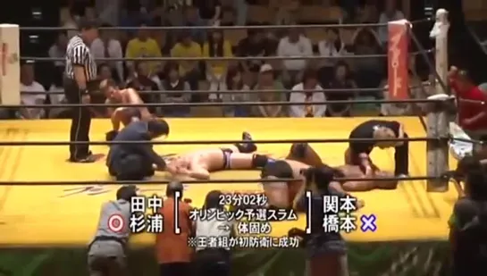 Pro Wrestling ZERO1 True Lies 2014 (2014.06.01)