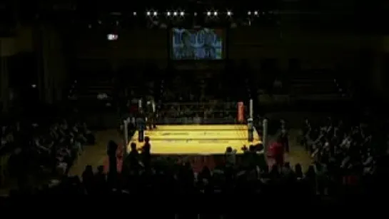 Pro Wrestling ZERO1 Happy New Year 2013 (2013.01.01)