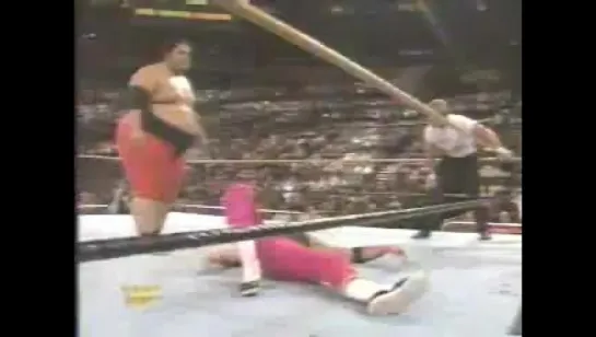 WWF WrestleMania 10 - Bret Hart vs Yokozuna