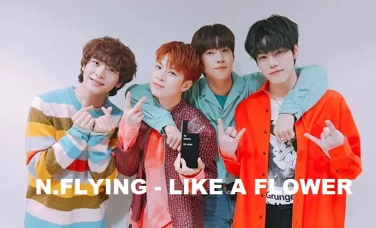 [rus sub] N.Flying_ LIKE A FLOWER [рус.саб]