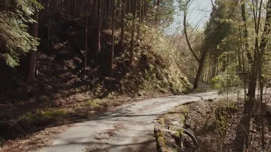 【中山道の桜】馬籠から妻籠への道のり _【Samurai Trail】Walking the Nakasendo from Magome to Tsumago（Gifu-Nagano, Japan）