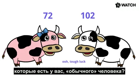 Почему IQ-тесты это глупо [ЖЮ-перевод]