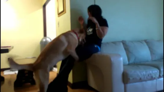 Asian Girl Dominated By Horny Dog