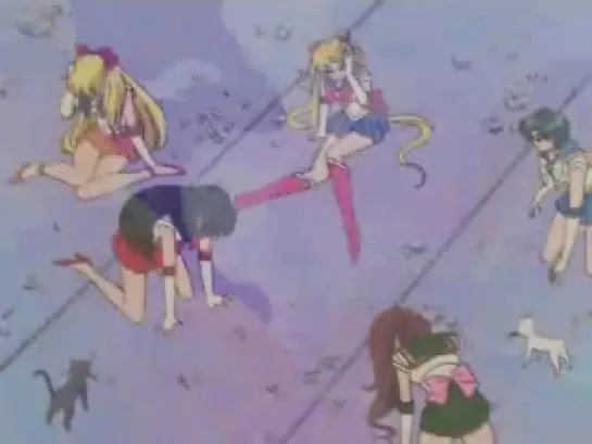 SAILOR MOON 226