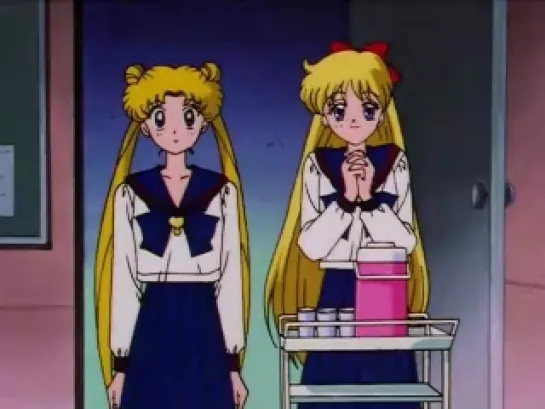 SAILOR MOON 509