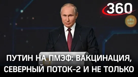 Путин на ПМЭФ-2021. Программа для бизнеса и реакция Подмосковья