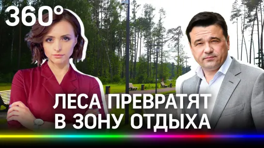 Десятки новых парков появятся в лесах Подмосковья