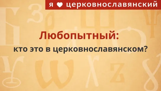 Любопытный: что это значит в церковнославянском?