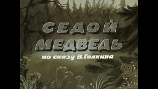 Седой медведь (1988)