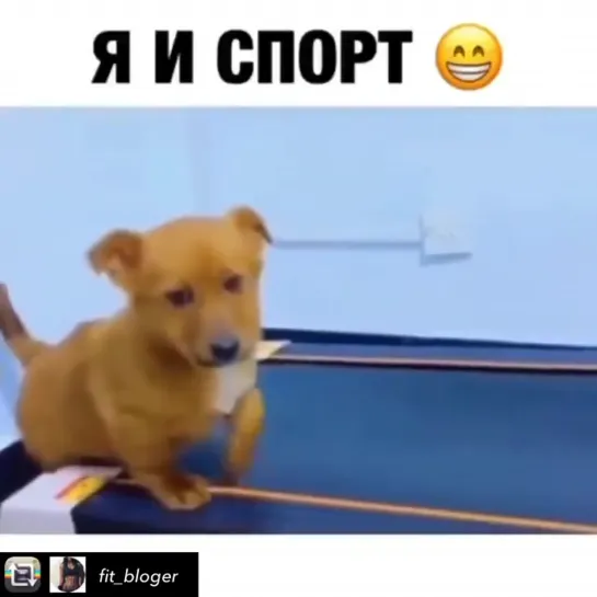 Я и спорт