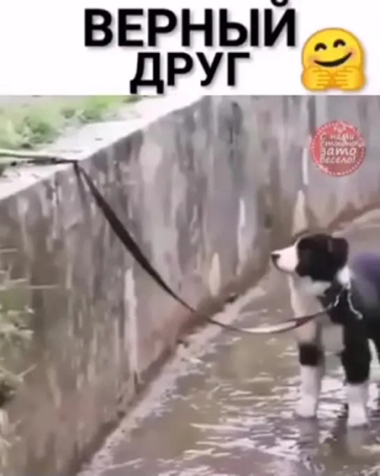 Друг в беде не бросит! =)