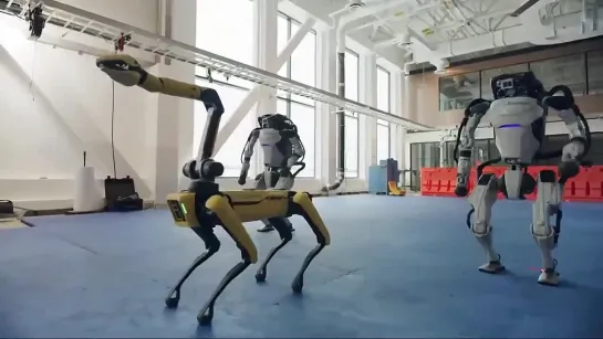 Do You Love Me. Boston Dynamics