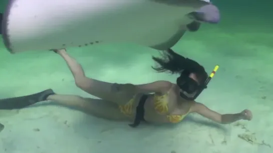 Sexy Bikini Girl swimming and dancing with stingrays