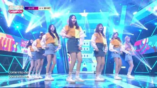 SONAMOO - I Think I Love U [Show Champion EP.217]