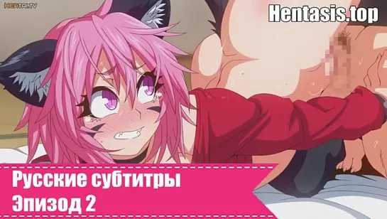 Kemonokko Tsuushin The Animation 2 ~Nekomusune Nia~ / Жизнь с девушкой монстром ~Девушка-кошка Ния~