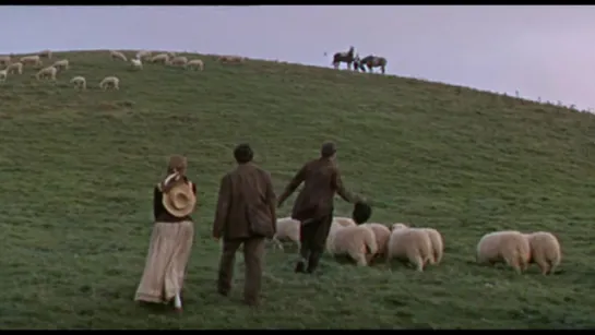 Far from the madding crowd/Вдали от безумной толпы 1967